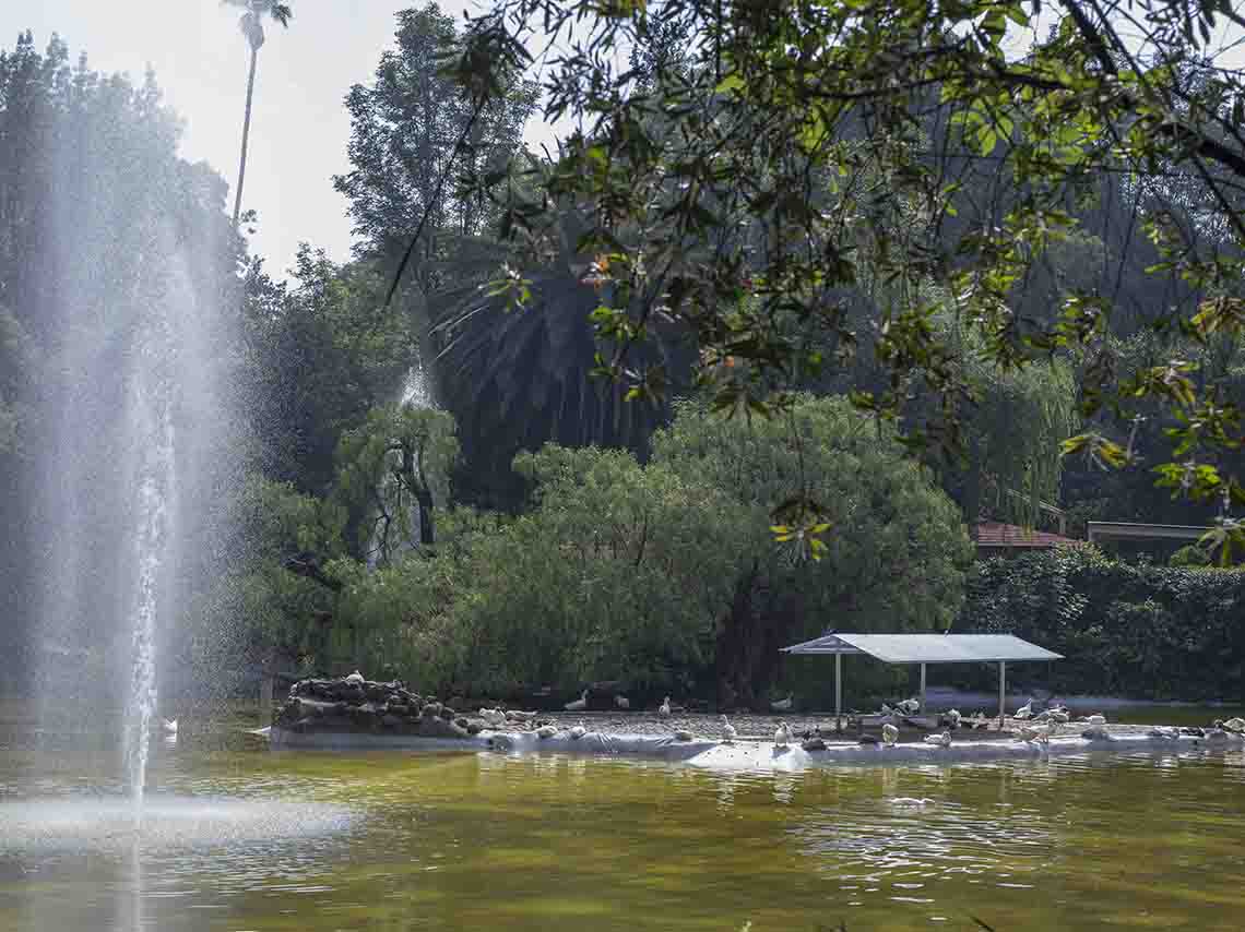 parque méxico