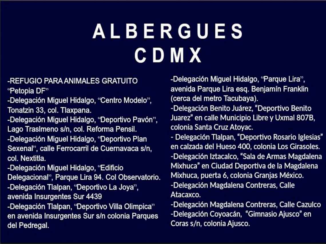 albergue-perro-rescatados-04