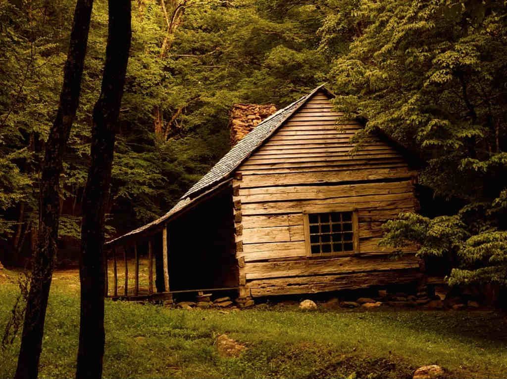 Cabañas para escaparte en pareja bosque