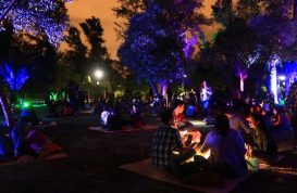Actividades del Bosque de Chapultepec en octubre 2017