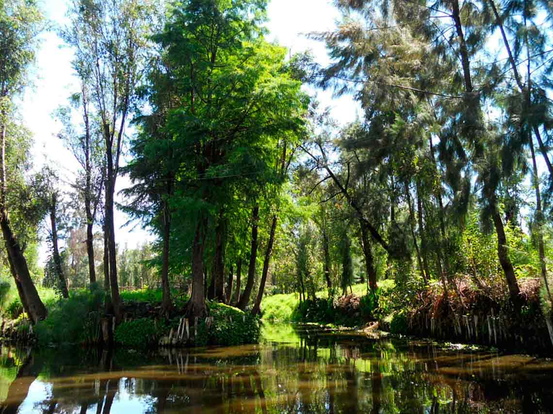 La leyenda del Nahual en Xochimilco 2017 ¡en trajinera! 2