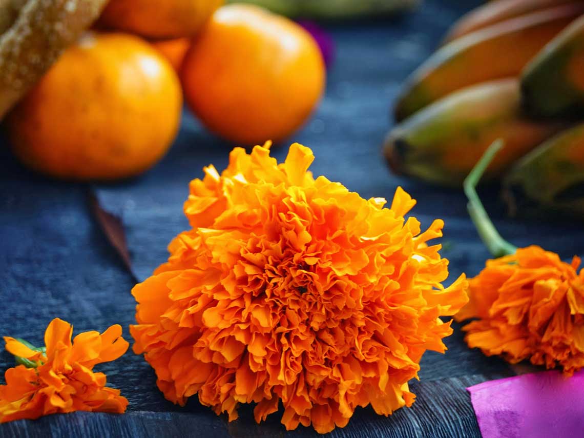 Ofrenda monumental del Zócalo 2017 y otros altares de muertos en la CDMX 2