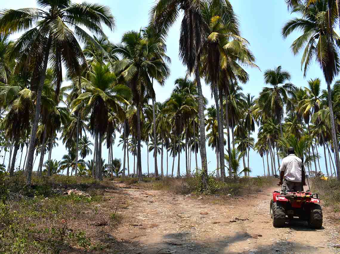 Cosas qué hacer en Ixtapa Zihuatanejo ¡Una playa económica! 2