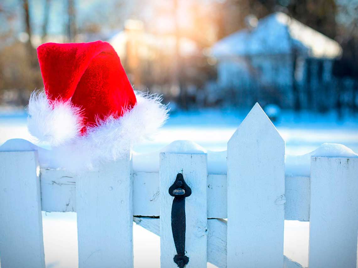 Festivales de Navidad en México ¡con nacimiento de rábanos! 6