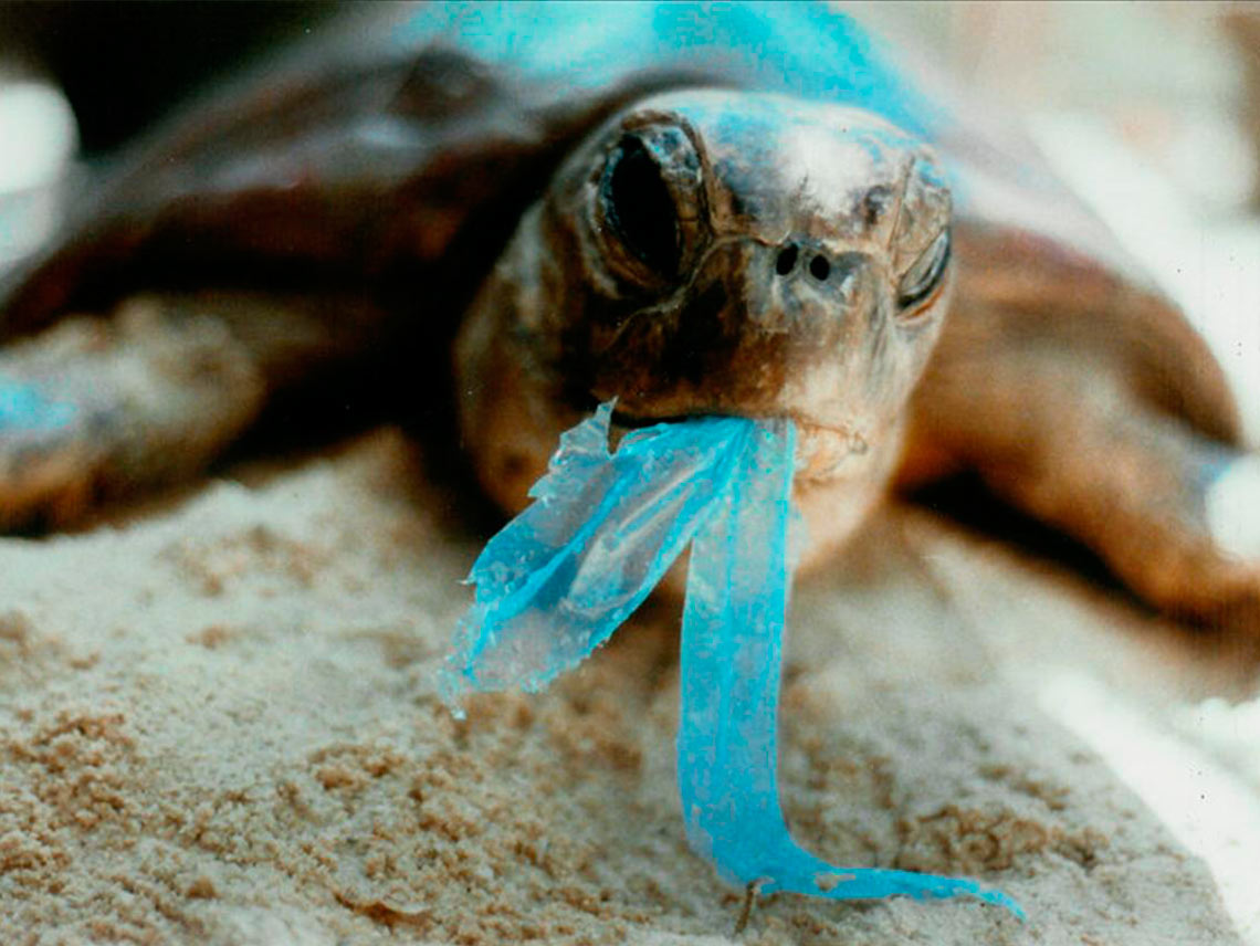 ¡A limpiar el planeta de la contaminación por plástico!