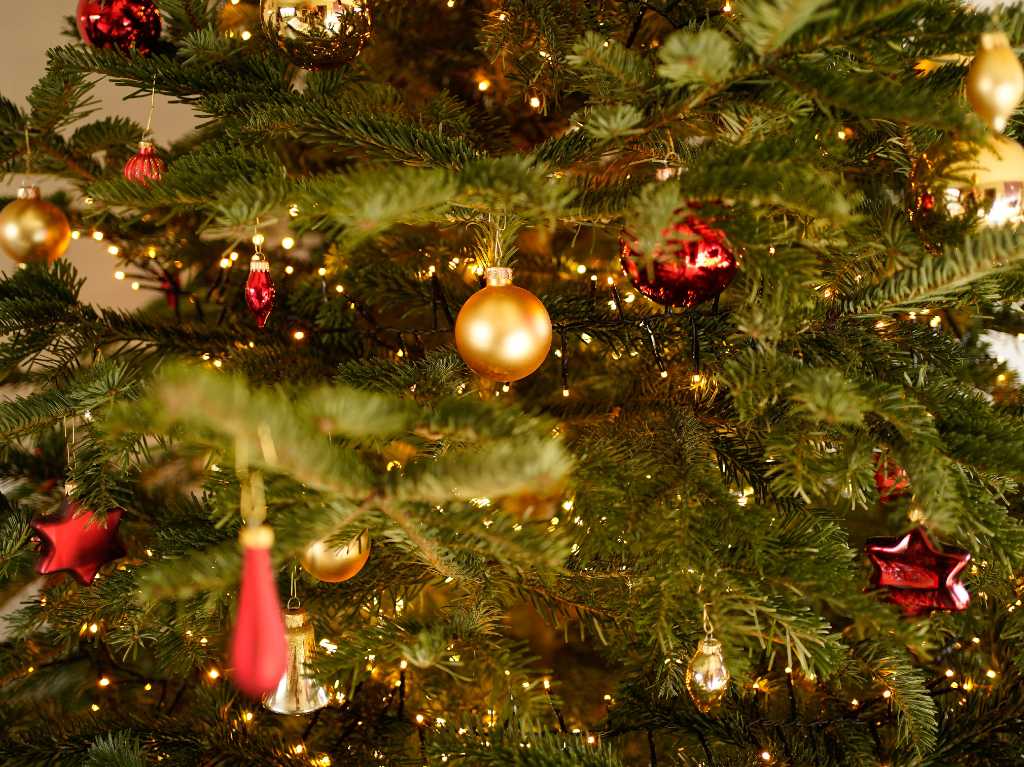 Dónde retar árboles de Navidad en CDMX