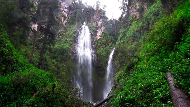 Parque Ecoturístico Dos Aguas, Santuario de la Naturaleza 7