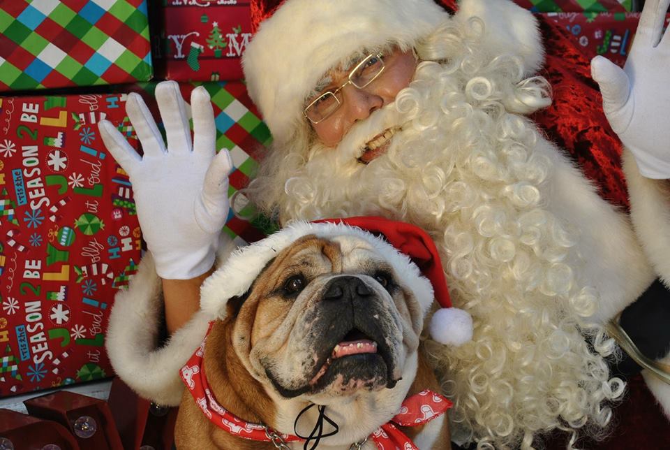 Perrito con Santa