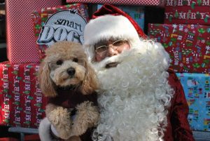 Tómate una foto con Santa y tu perro en este lugar 0