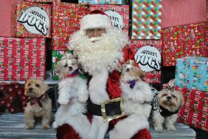 Tómate una foto con Santa y tu perro en este lugar 1