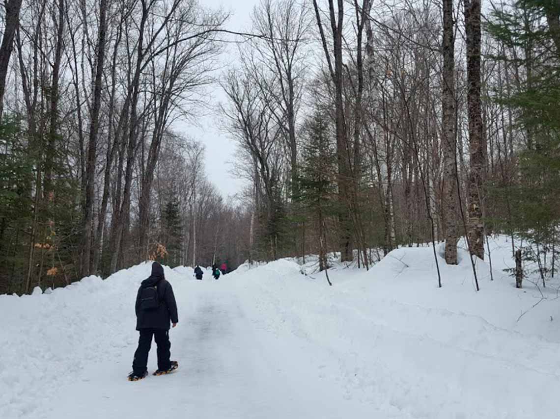Qué hacer en Quebec en invierno, ¡actividades de nieve! 3