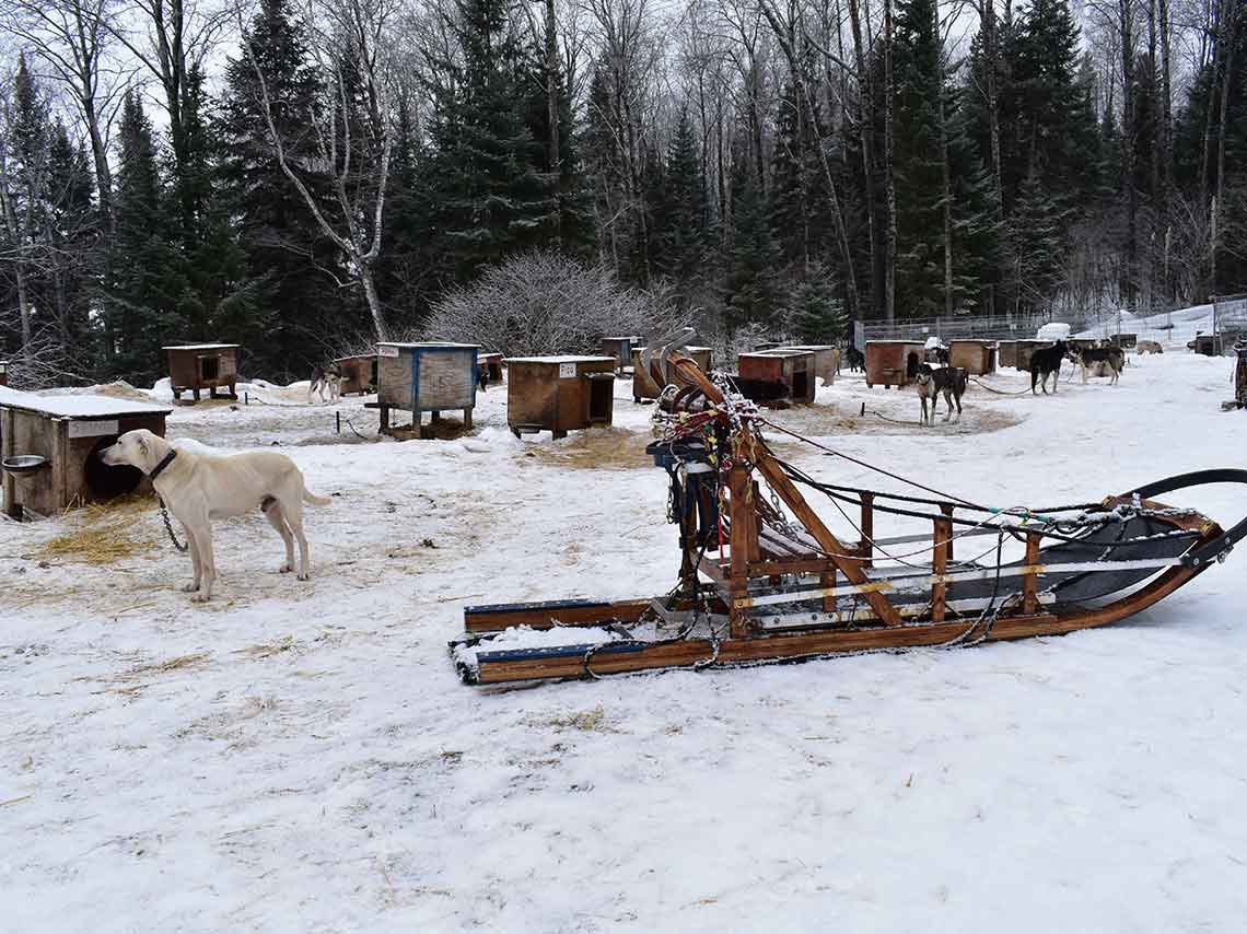 Qué hacer en Quebec en invierno, ¡actividades de nieve! 8