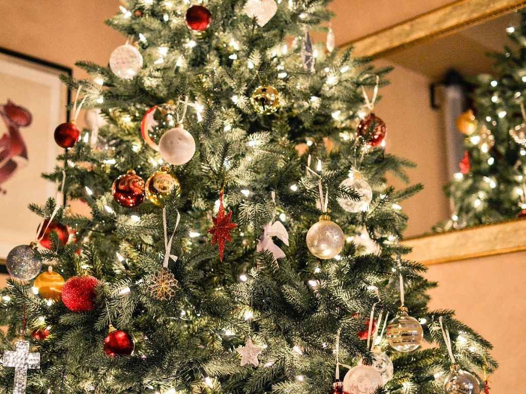 Renta de árboles de Navidad en CDMX, te los dan en maceta