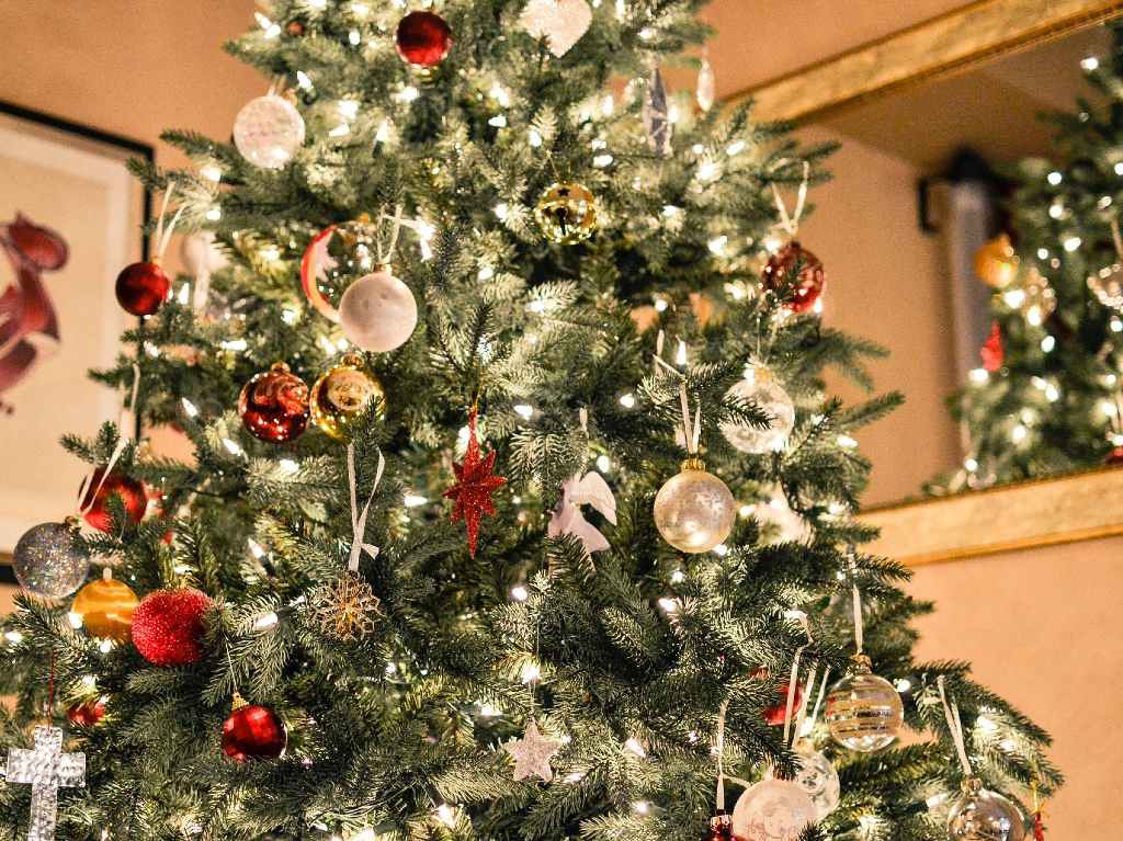 Renta de árboles de Navidad en CDMX ¡te los dan en maceta!