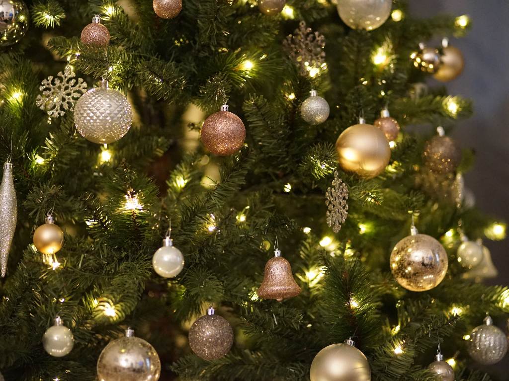 Servicios de renta de árboles de Navidad