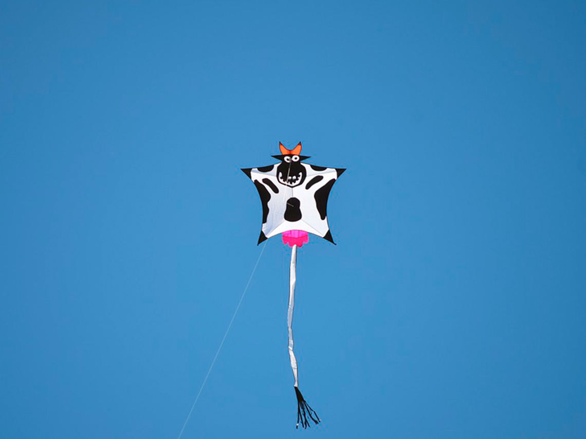 Festival de vuelo de papalotes en Tequisquiapan 2018