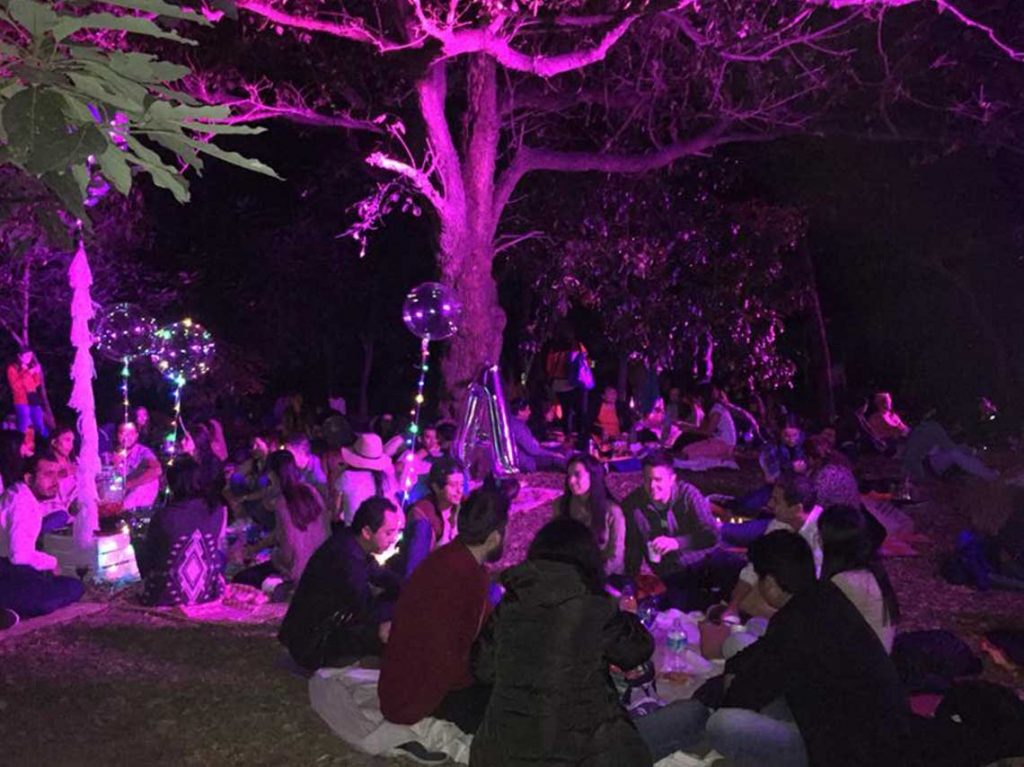picnic nocturno de Chapultepec en enero 2018,