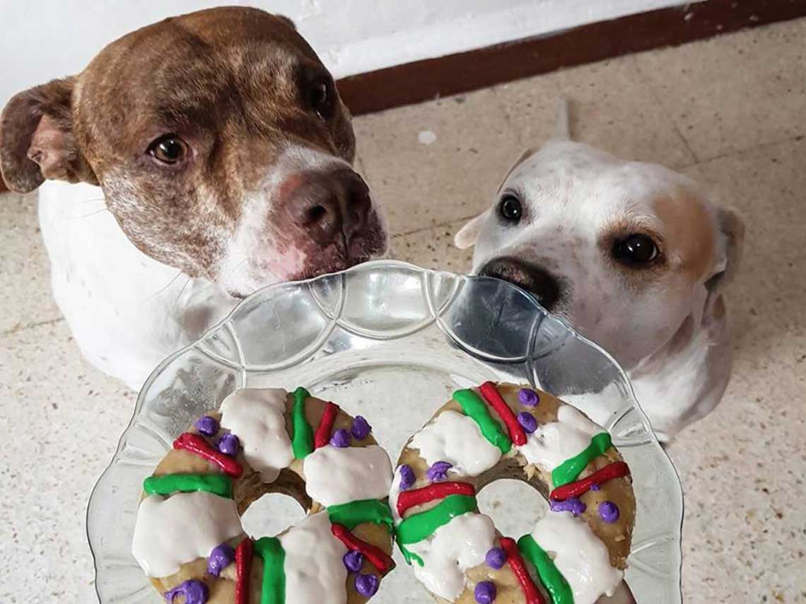 Rosca de Reyes para perros en CDMX