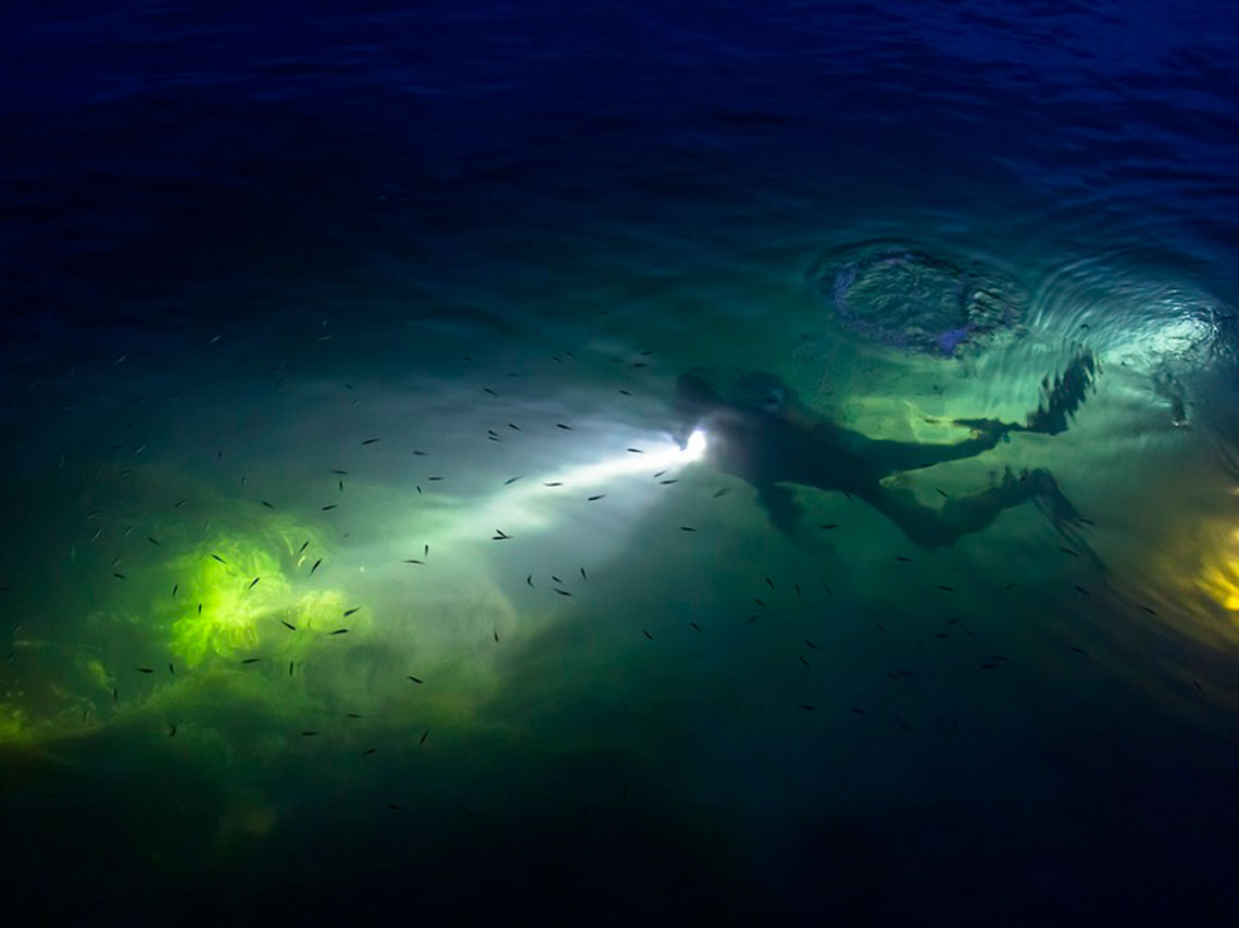 Zona arqueológica más grande del mundo bajo el agua de Tulum 0