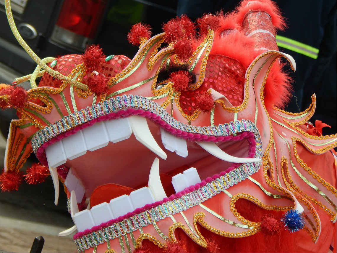 Comida-china-ano-del-perro