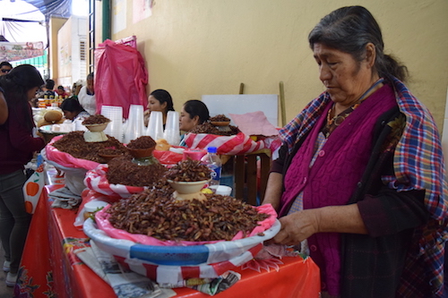 Fin de semana gastronómico y cultural en Oaxaca 0