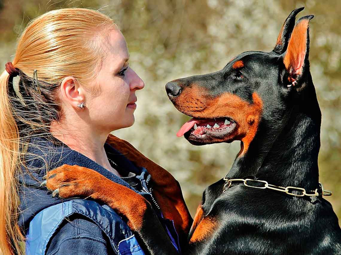 Can Fest 2018: carrera, esterilización, y gym canino 3