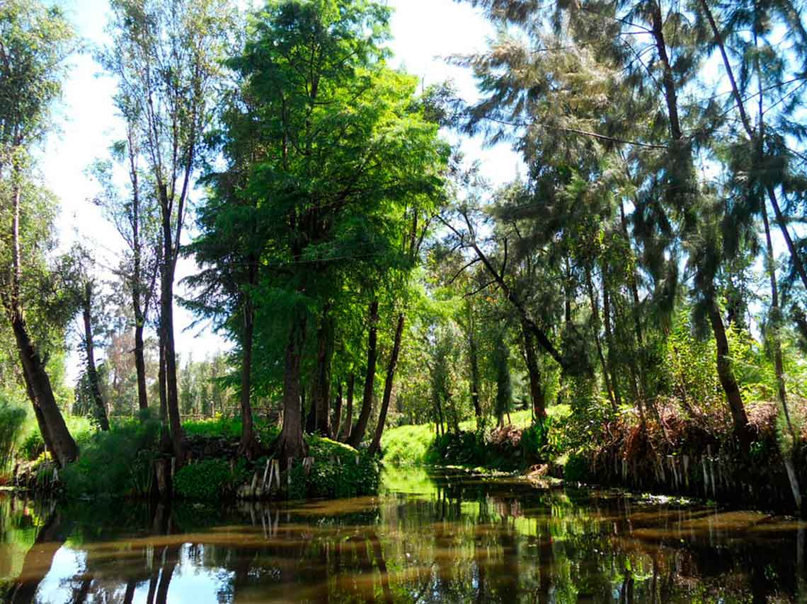 Reserva tours y trajineras en Xochimilco desde internet 3