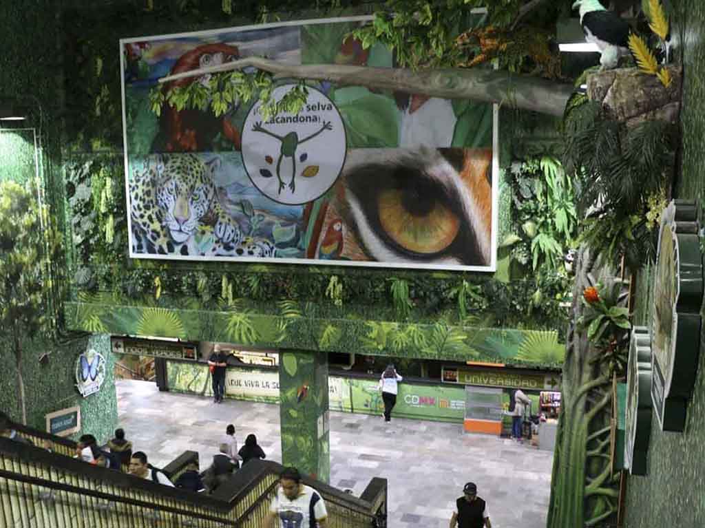 Selva Lacandona en el metro Viveros: una experiencia salvaje