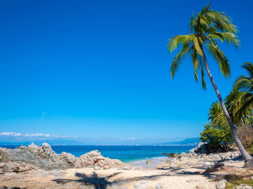 Qué hacer en Puerto Vallarta