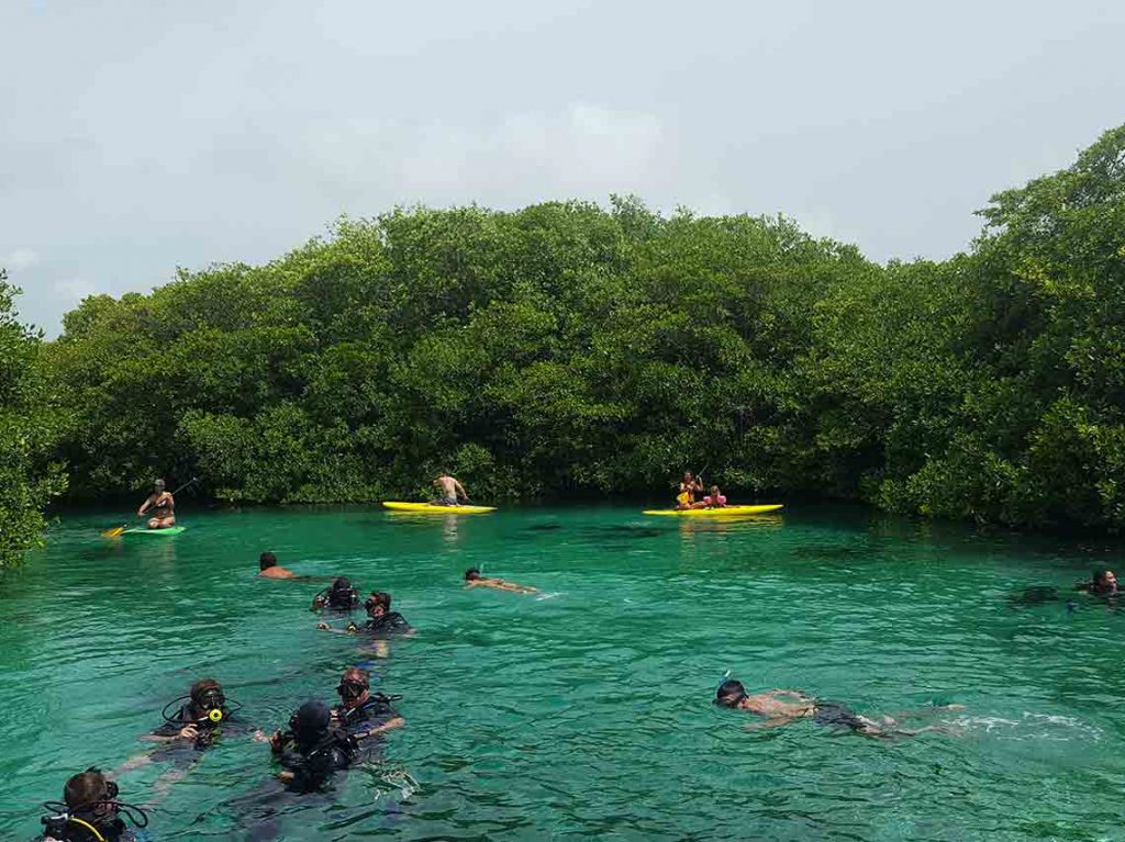 Qué hacer en Tulum: actividades en el Pueblo Mágico