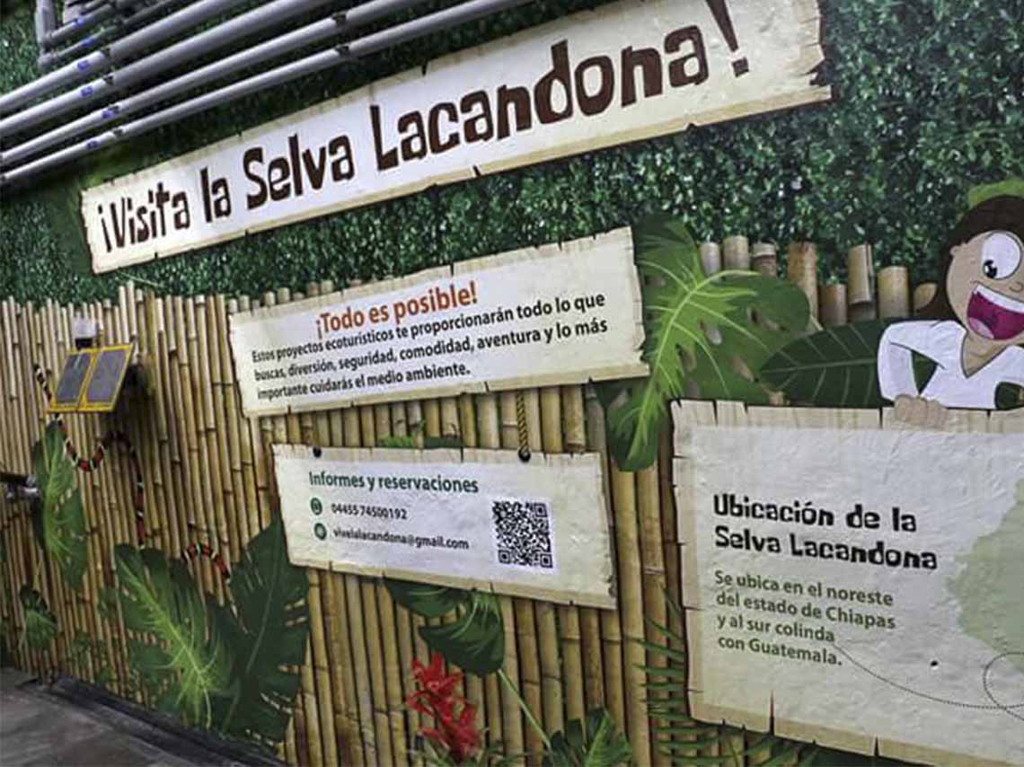 Selva lacandona en el metro viveros