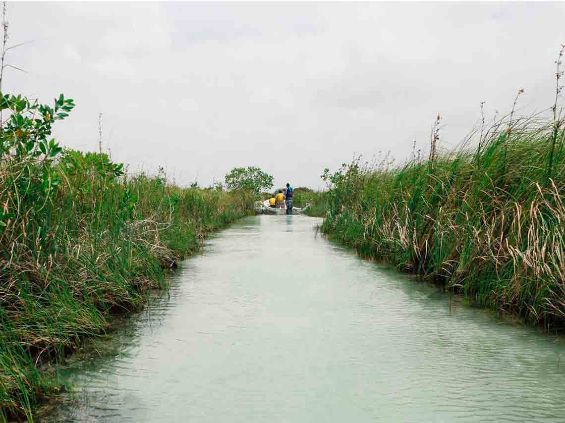 Qué hacer en Tulum: actividades en el Pueblo Mágico 2