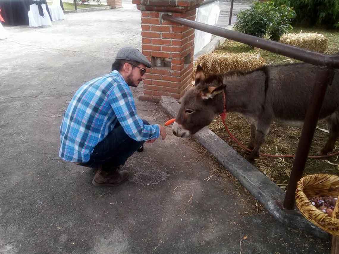 Burrolandia: Vive un tour con burros en Teotihuacán 6