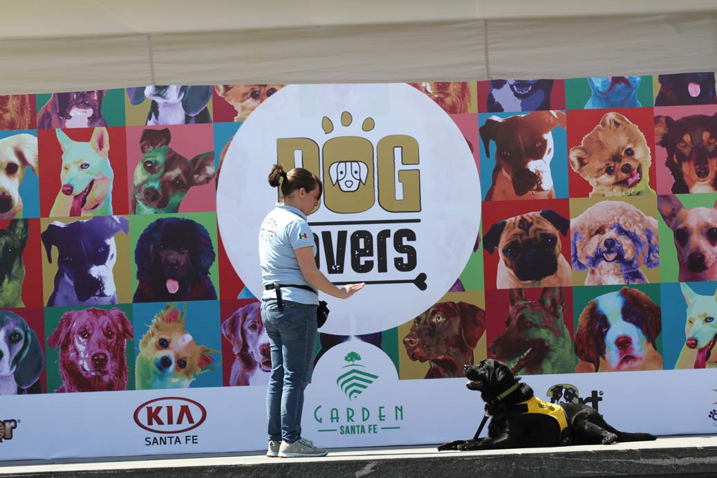 Dog Lovers: El divertido evento para los amigos perrunos y sus humanos 0