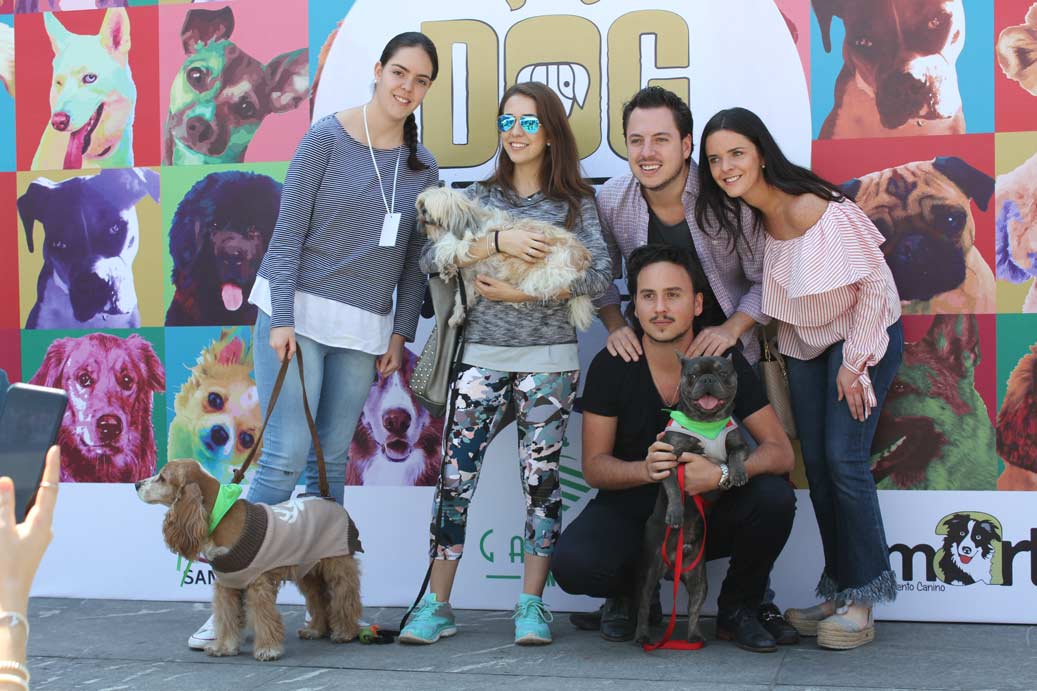 Dog Lovers: El divertido evento para los amigos perrunos y sus humanos 1