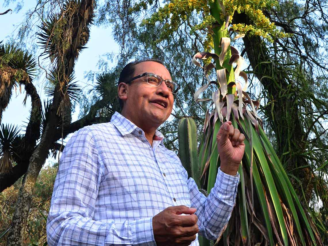 ehuizote en el Jardín Botánico