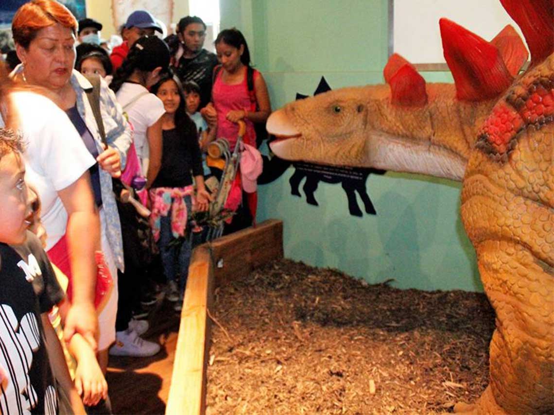 nuevo museo de dinosaurios