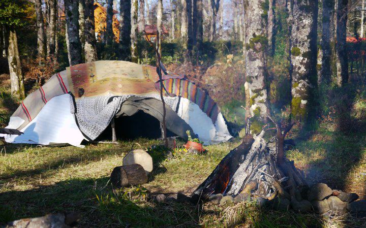 Junio: celebra así el mes del medio ambiente