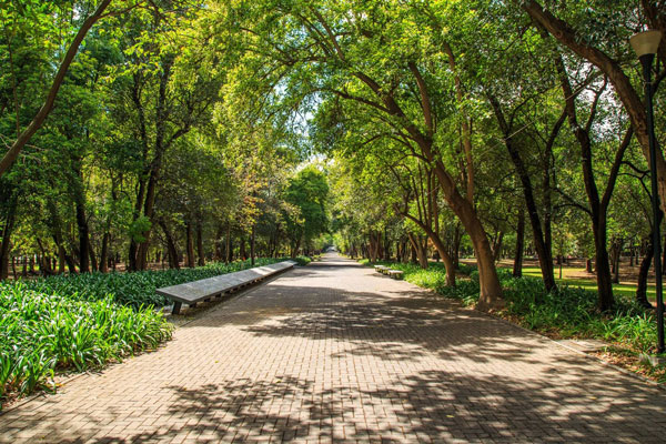 Parques perfectos para hacer un picnic ¡cerca de CDMX!