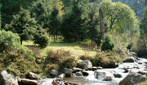 Parques perfectos para hacer un picnic ¡cerca de CDMX!