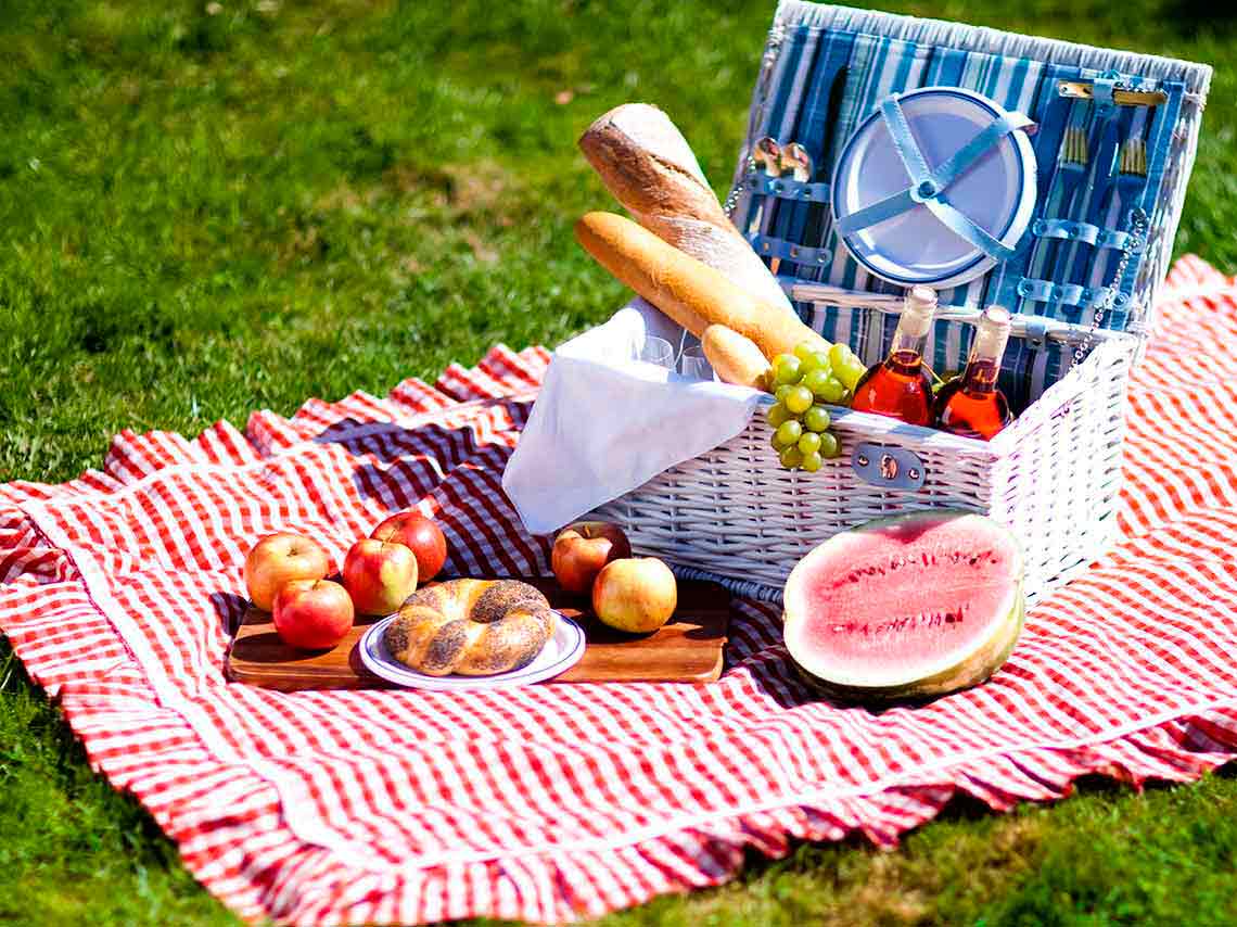 Lugares para hacer un picnic en CDMX: guía para sobrevivir 7