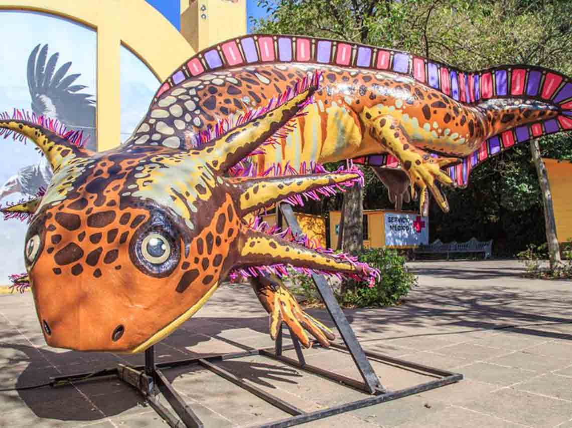 Mira Alebrijes monumentales en el Zoológico 2018 en CDMX 0