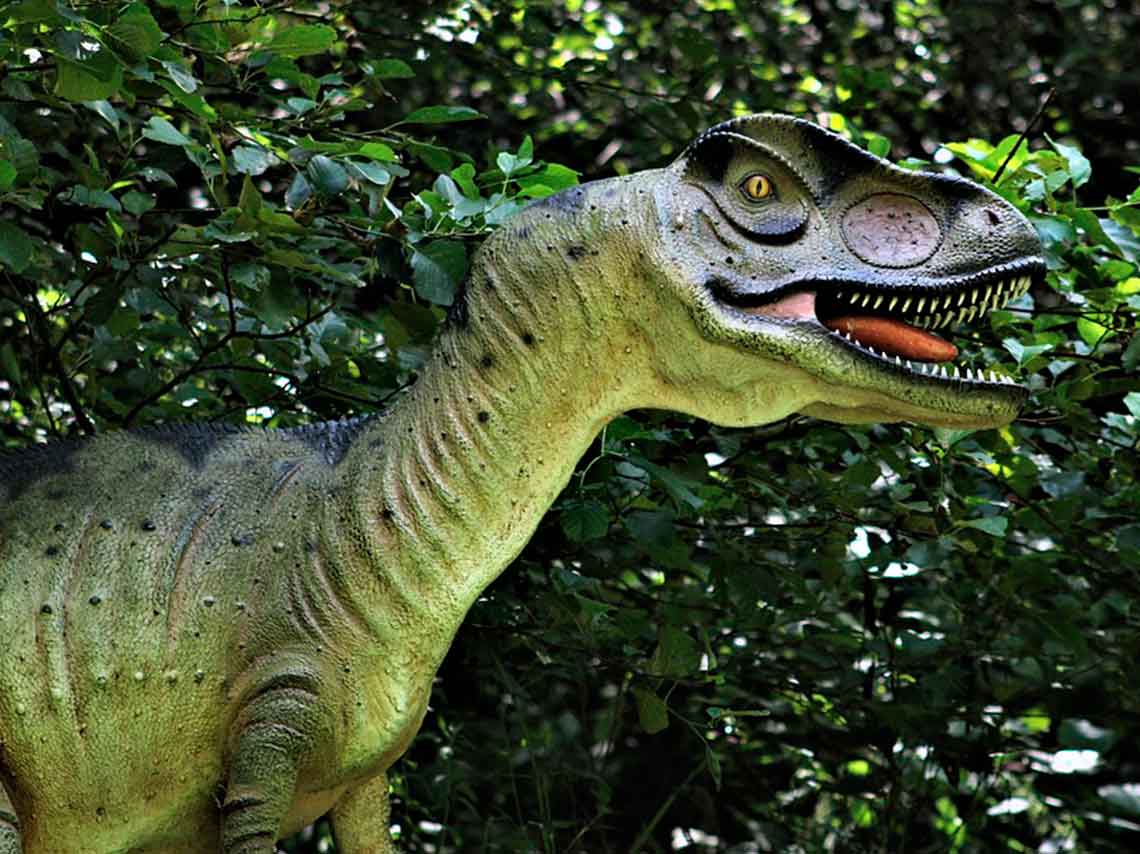 Río Jurásico: mira dinosaurios en un recorrido en lancha 5