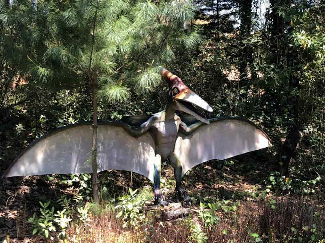 Río Jurásico: mira dinosaurios en un recorrido en lancha 3