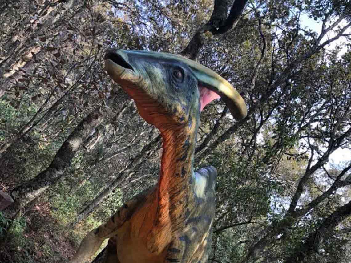 Río Jurásico: mira dinosaurios en un recorrido en lancha 2