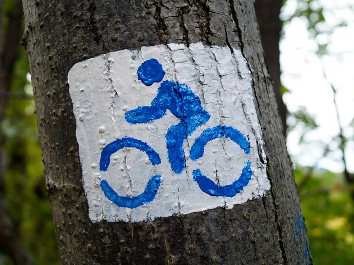 señalamiento en arbol por el ía mundial de la bicicleta 2018