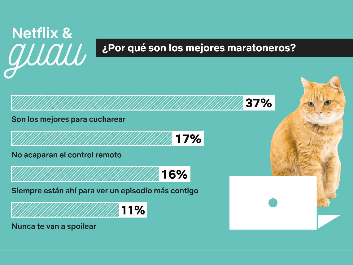 Tu perro o gato, el compañero ideal para ver Netflix