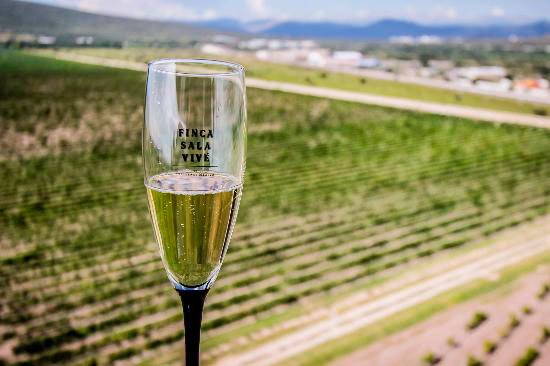 Festival de la Paella en Finca Sala Vivé de Freixenet, ¡también habrá vino!