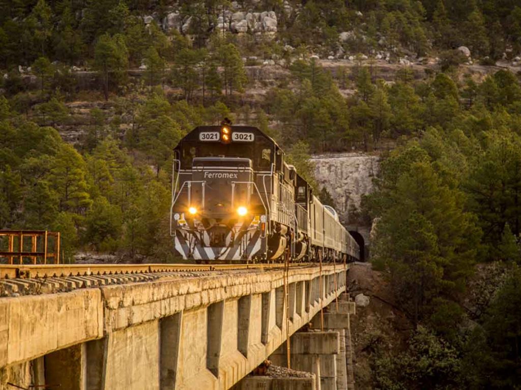 tour en tren mexico