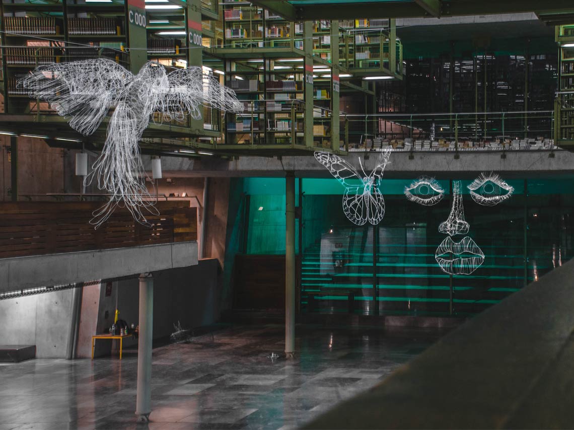 especies-de-alambre-biblioteca-vasconcelos-esculturas-de-alambres